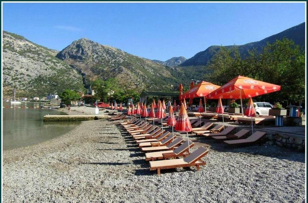 Pavle Apartmani Risan Dış mekan fotoğraf