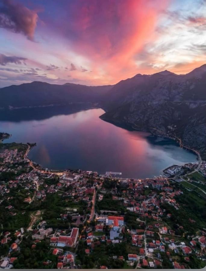 Pavle Apartmani Risan Dış mekan fotoğraf